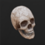 v23_dbpl58_skulllight-min.png