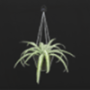 v23_dbpl67_ceilingplant-min.png