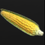 03_03_05_corn.png