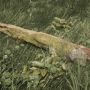 v23_ev02_otree-min.png