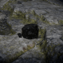 v23_ev04_coalnode-min.png